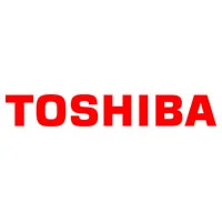 Ремонт ноутбука Toshiba в Лосино-Петровском